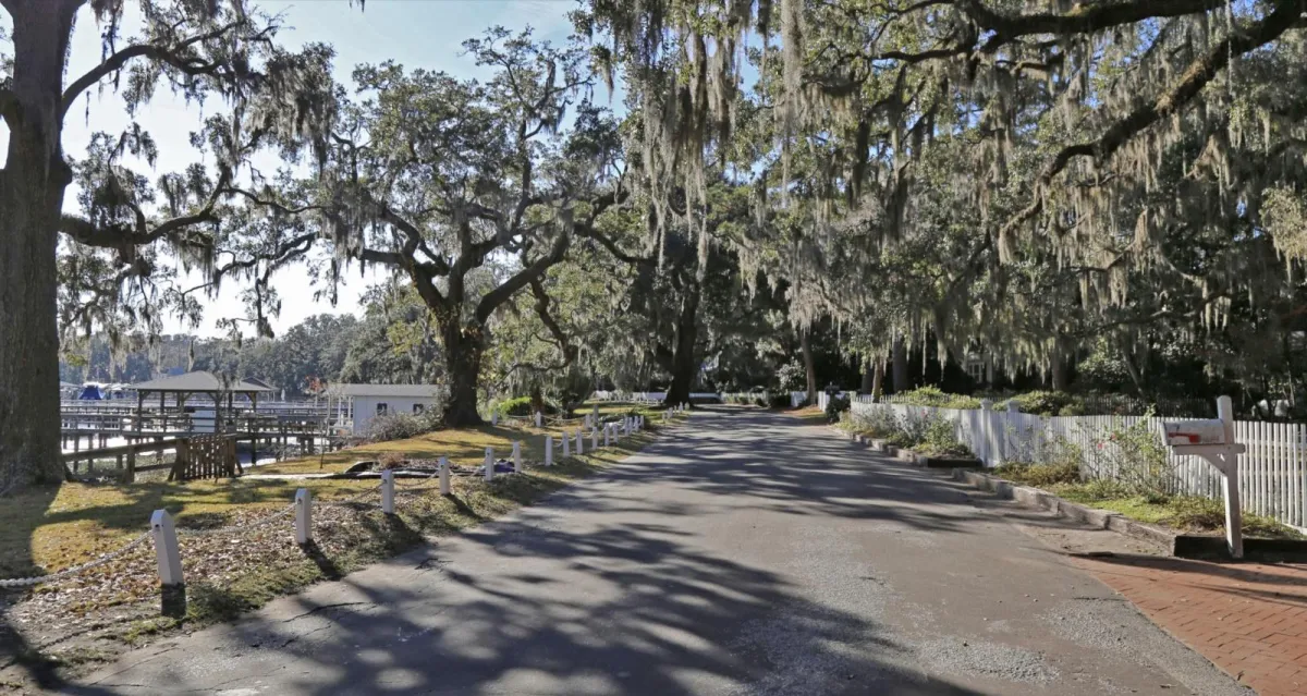 Shaded road lined with large oak trees draped in Spanish moss near a waterfront area