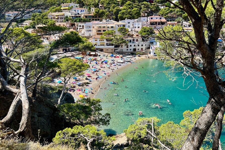Aerial view over winding coves and terraced olive groves near Begur with morning mist and fishing boats in warm tones.