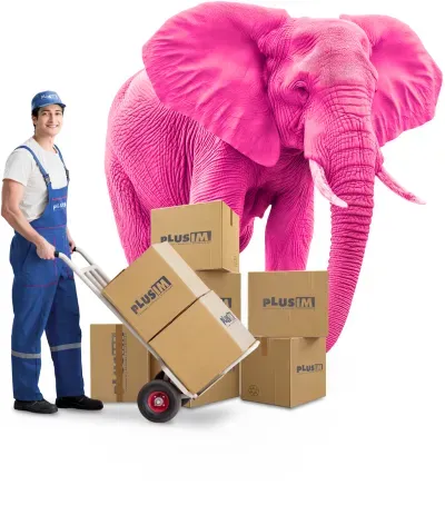 Usmievajúci sa muž v modrej pracovnej uniforme a s ochrannou prilbou, ktorý tlačí ručný vozík naložený s kartónovými krabicami, vedľa neho stojí obrovský ružový slon, ktorý sa nakláňa nad krabicami s rovnakým logom PLUSIM.