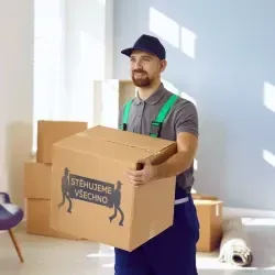 Mladý muž s krátkými vlasy a vousy, oblečený v šedém tričku, modro-zelených pracovních kalhotách s kšandami a tmavě modré kšiltovce, nese kartonovou krabici s logem "STĚHUJEME VŠECHNO" v dobře osvětlené místnosti. V pozadí jsou vidět další krabice a část nábytku, připravené k přestěhování.