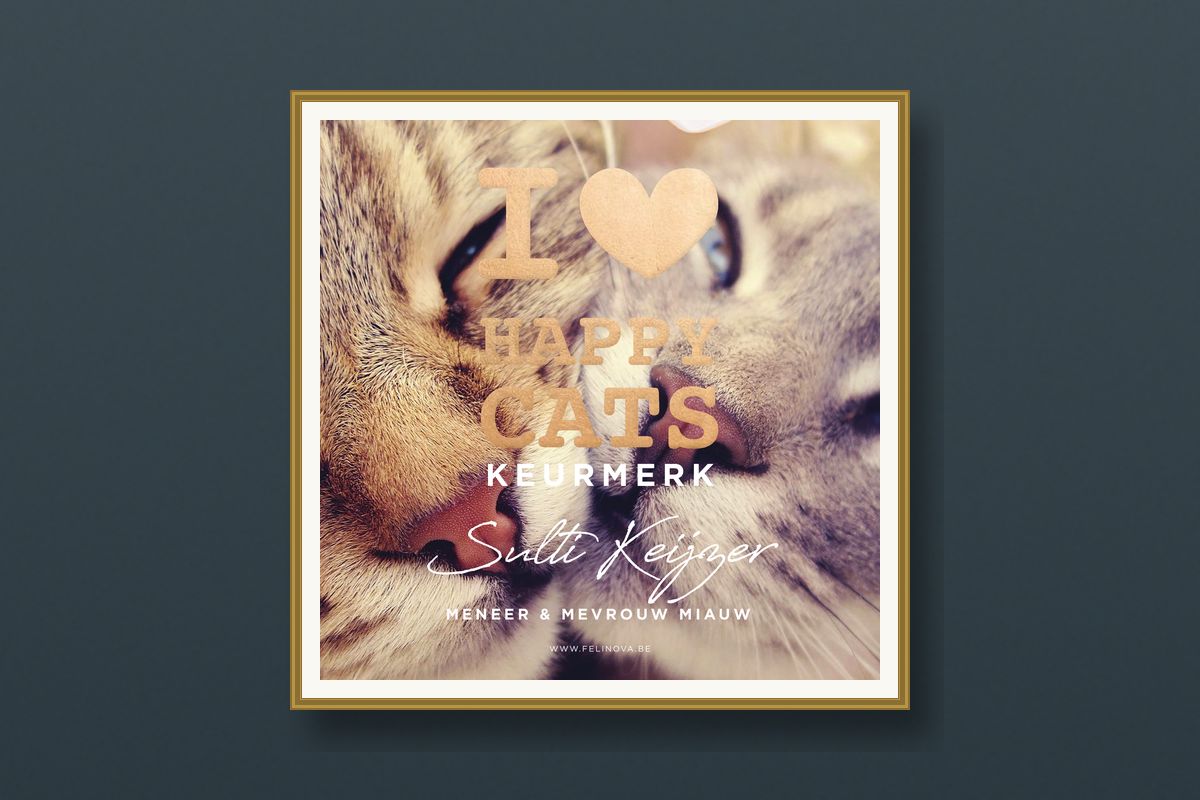 Happy Cats 2025 Certificaat