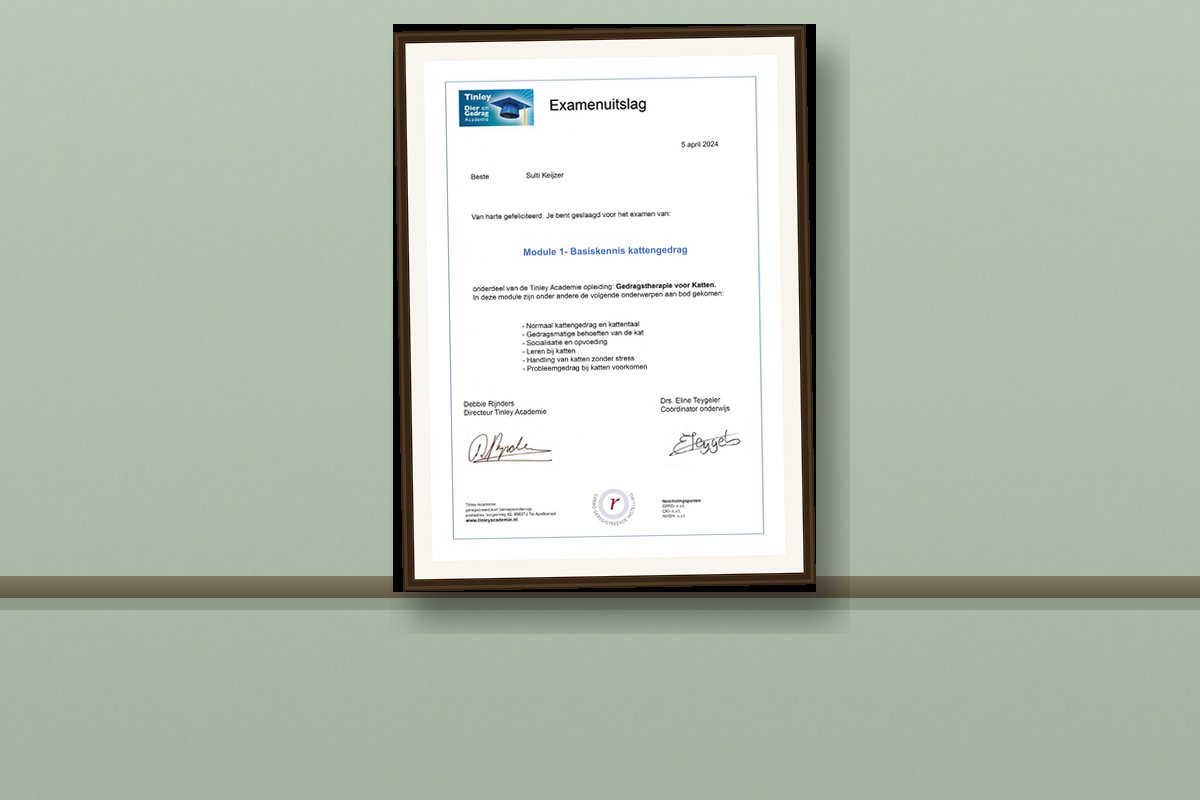 Tinley Module 1 Certificaat