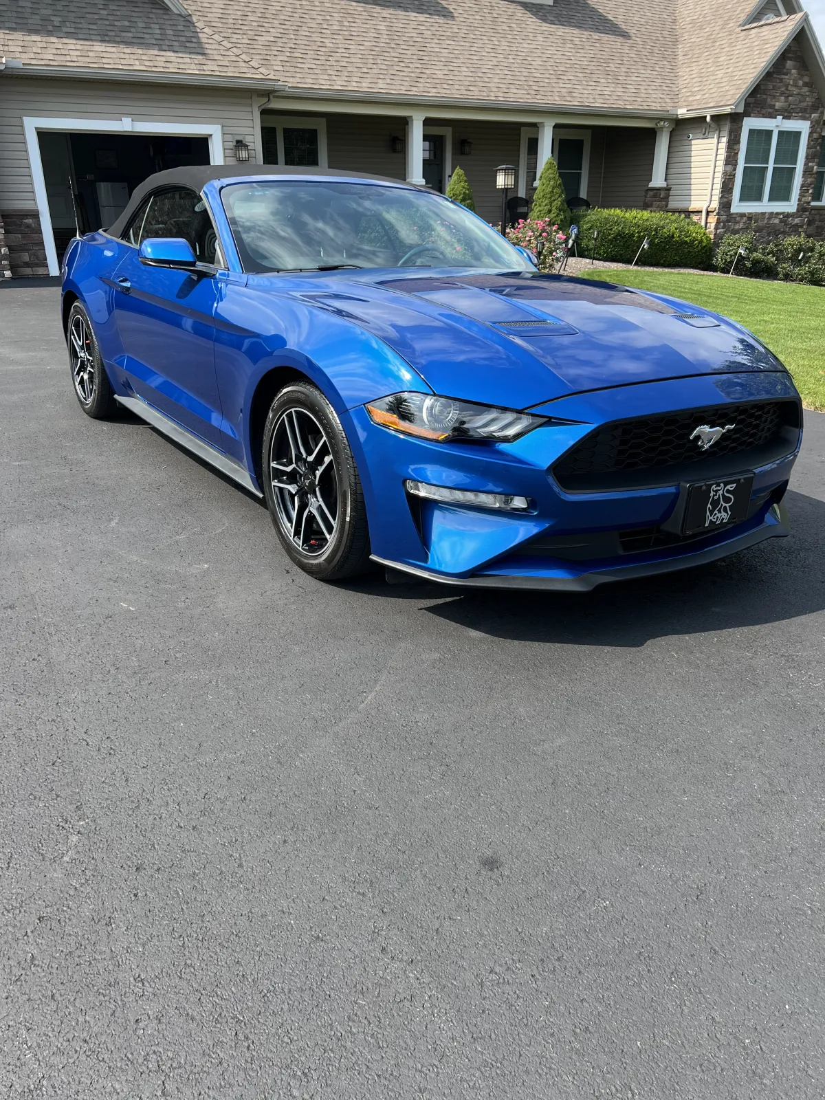 Wash and Waxed Blue Ford Mustang