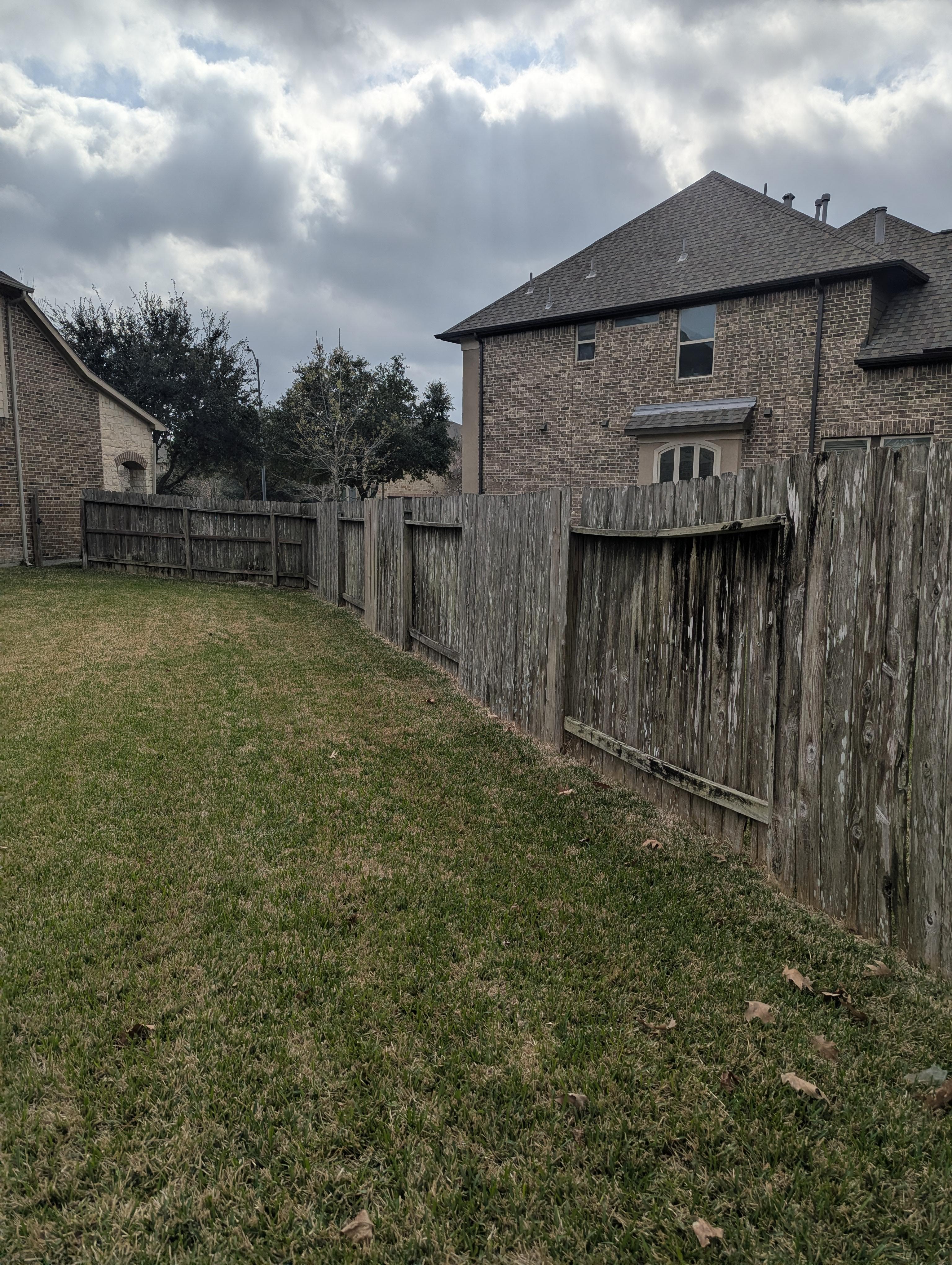 Backyard fence and lawn area before pressure washing in Houston TX with dirty wood fencing and organic buildup on exterior surfaces