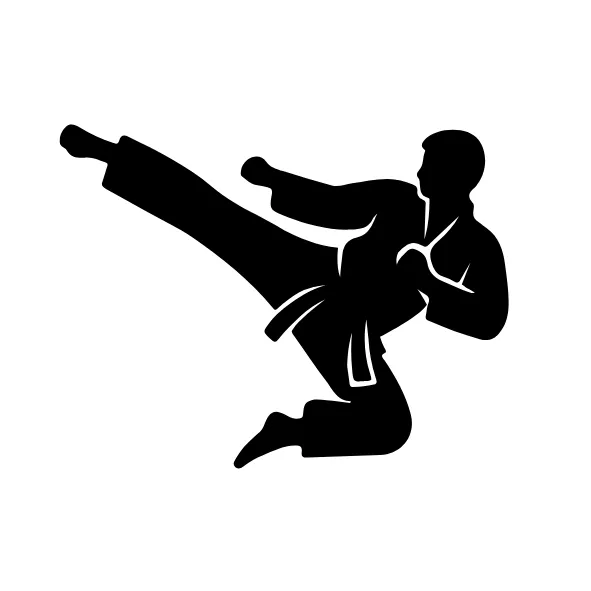 taekwondo