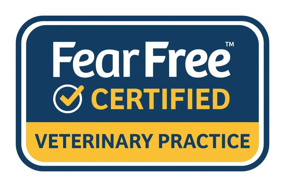 fear free certification