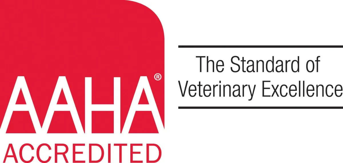 aaha certification