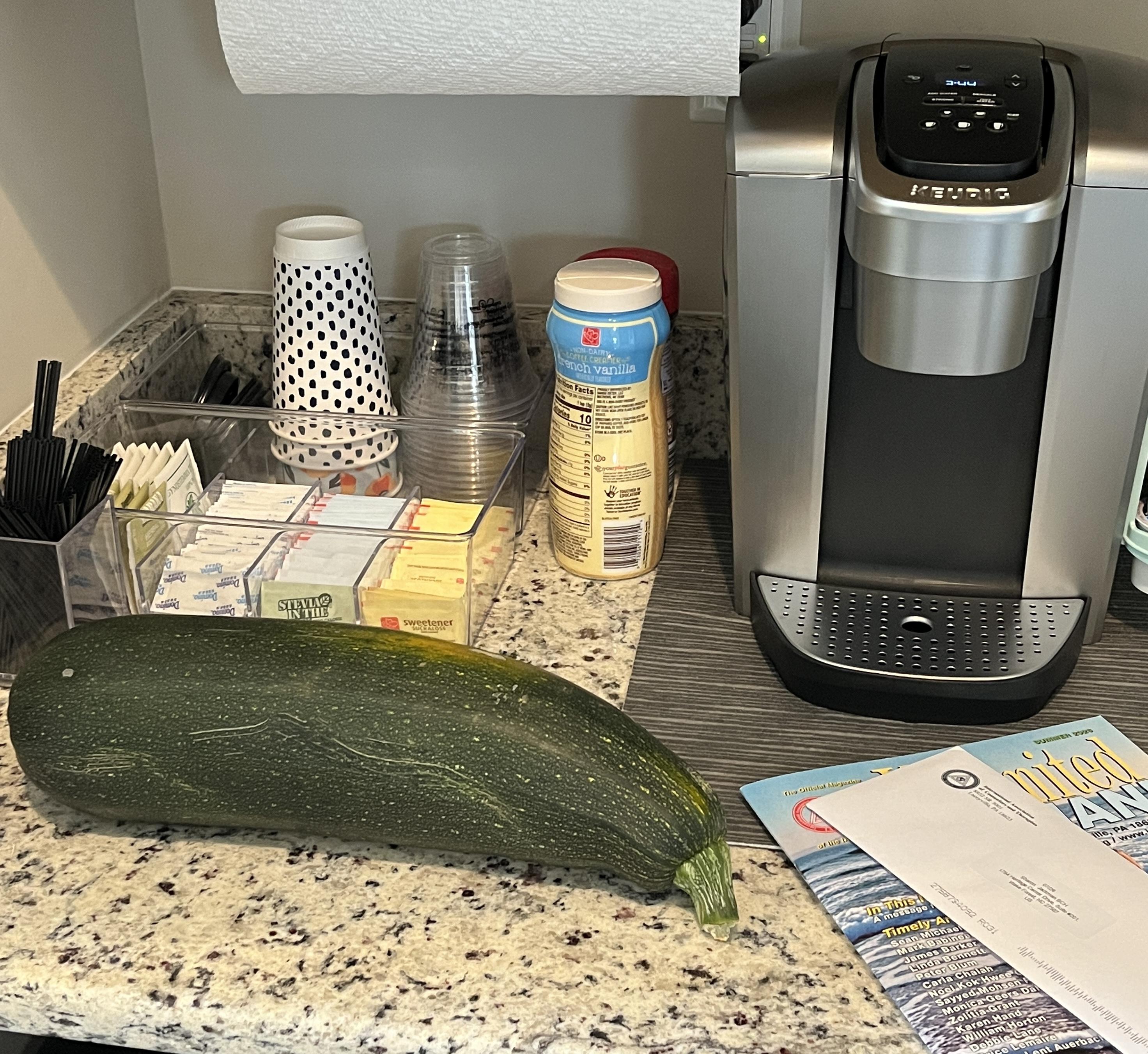 The zucchini was staring me in the face