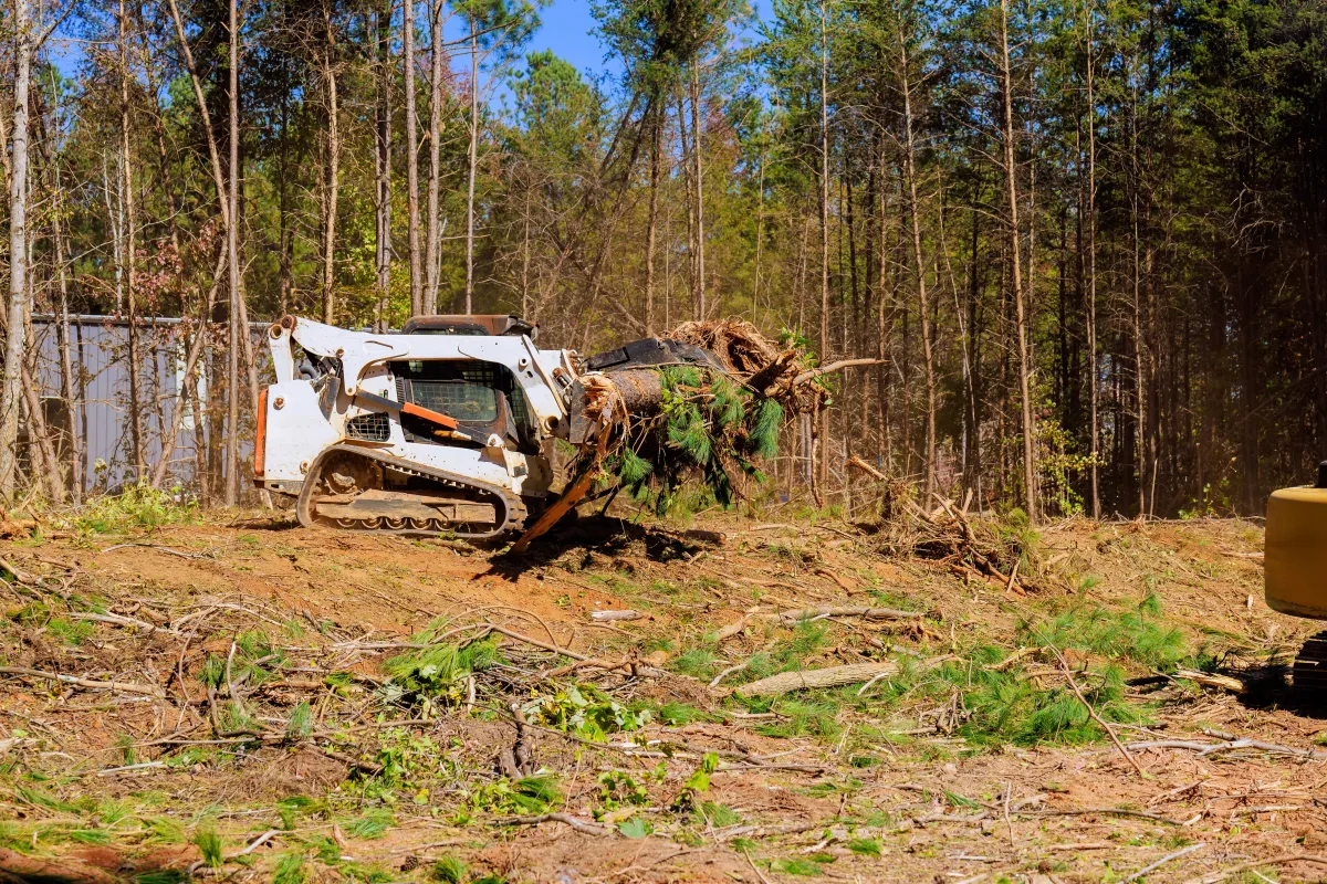 Fence Line Clearing Available