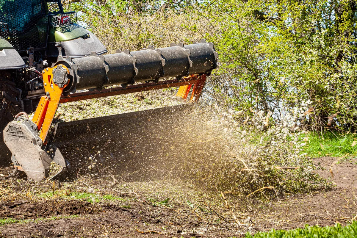 Forestry Mulching for fence lines