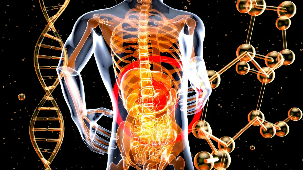 How Important is Gut Health- Crucial for So Much More than Indigestion