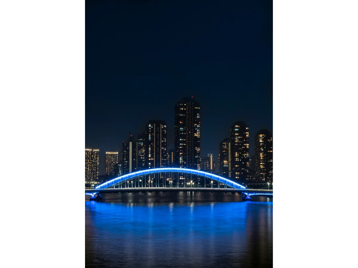 City shot of Brisbane