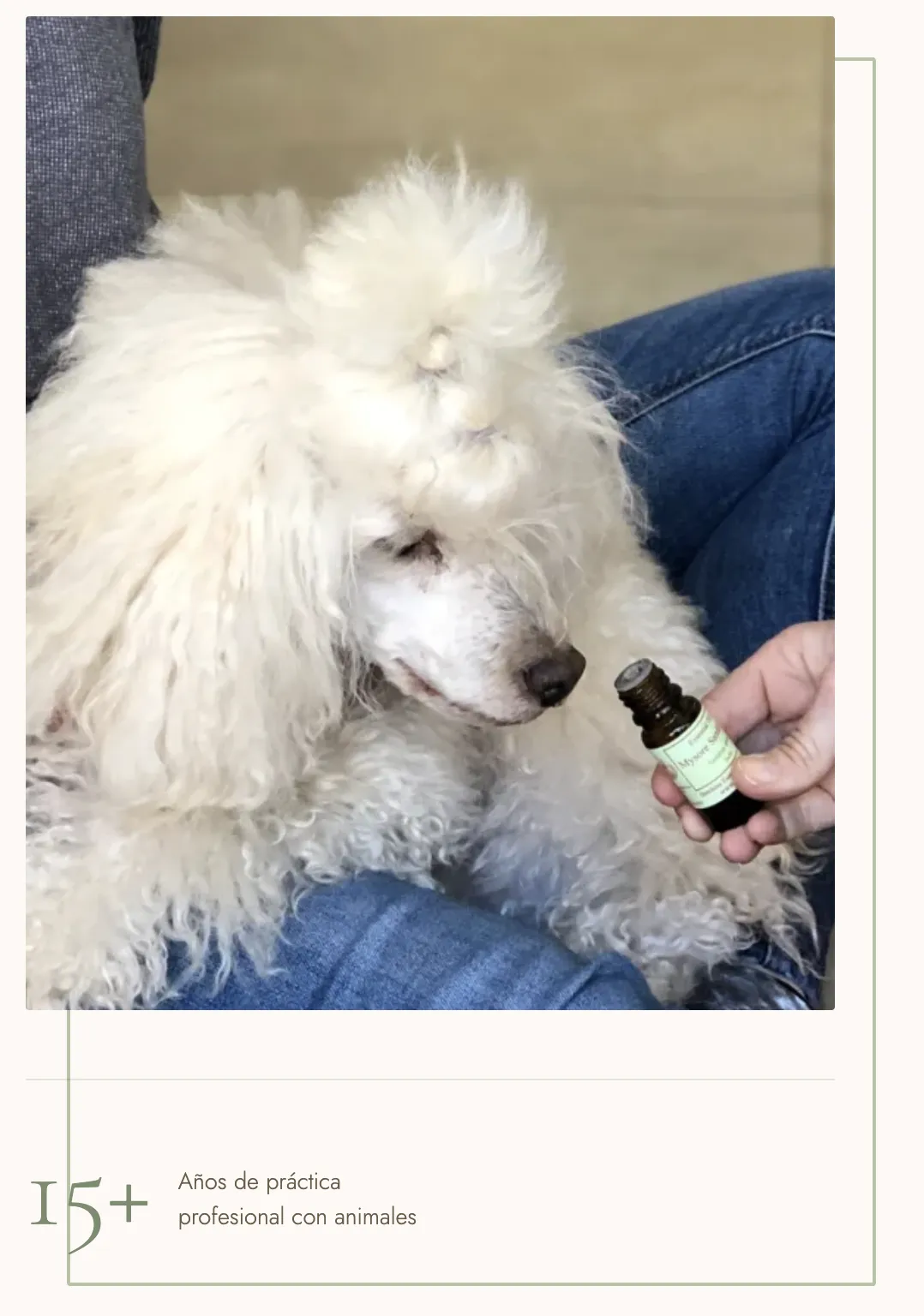 zoofarmacognosis aplicada canina. Libre selección aceites esenciales animales.