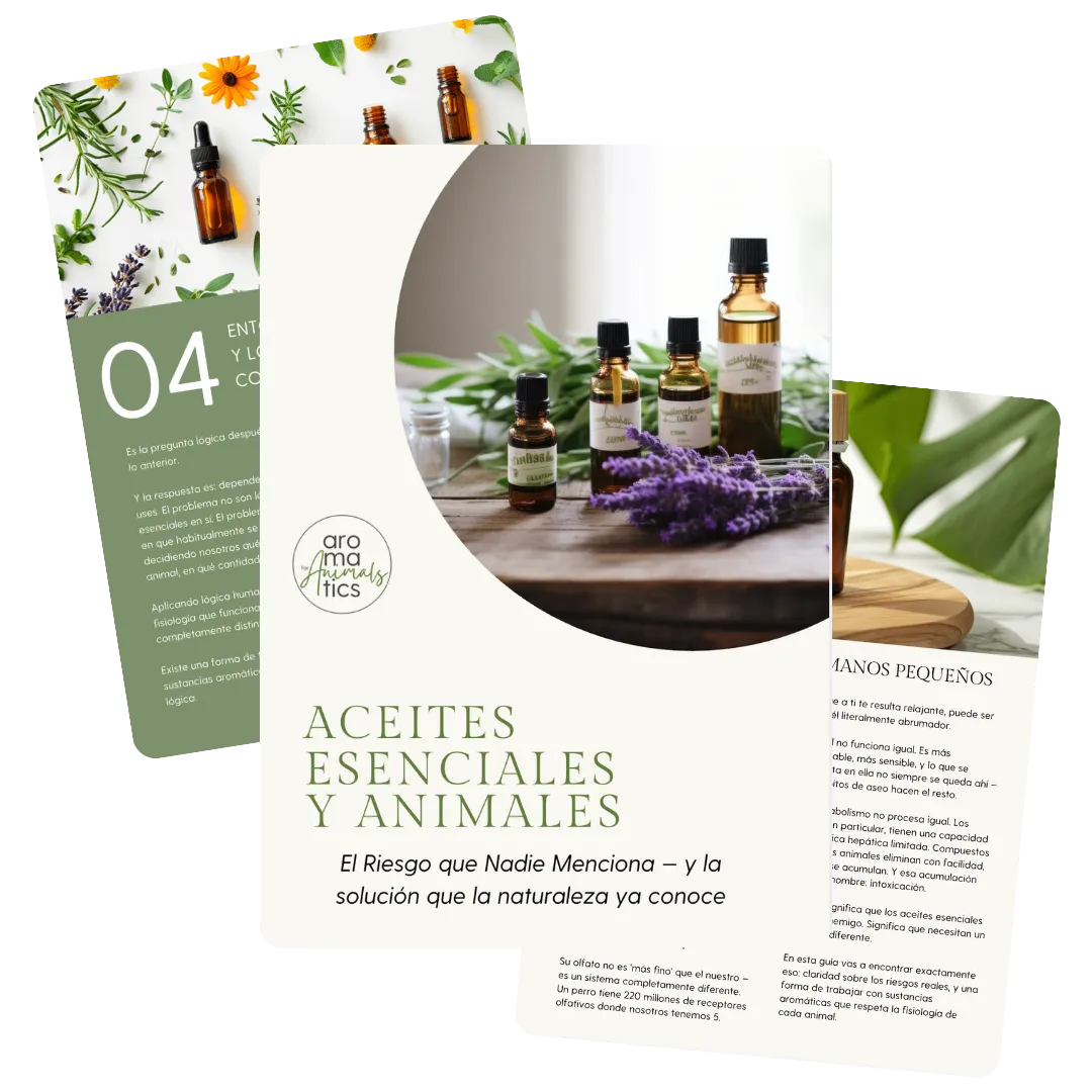 recurso gratuito Aceites Eenciales y Animales, todo lo que necesitas pra usar los aceites esenciales sin riesgo en los animales.