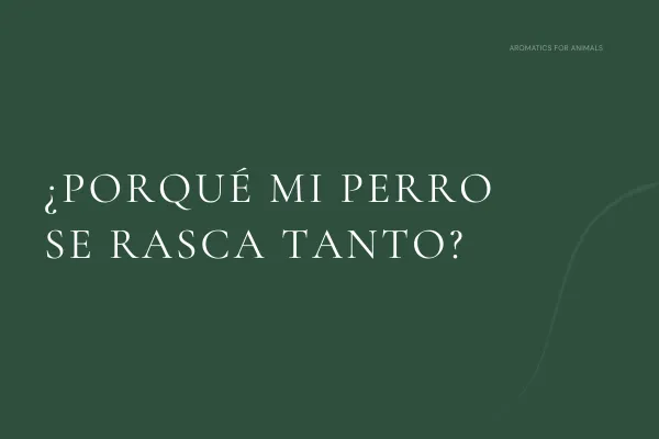 perro rascándose