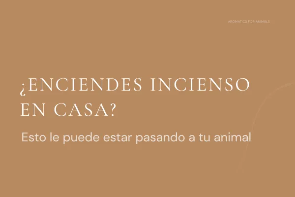 ¿Enciendes incienso en casa? Esto le puede estar pasando a tu animal