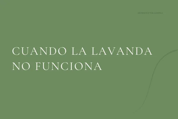 Cuando la Lavanda no funciona...