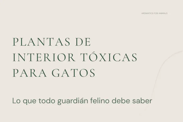 Plantas de interior tóxicas para gatos: lo que todo guardián felino debe saber