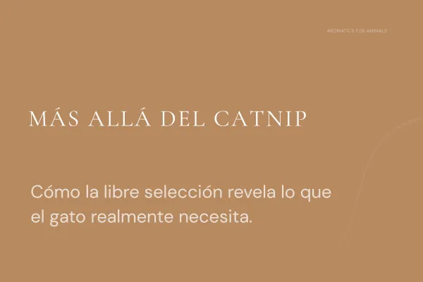 Más allá del Catnip