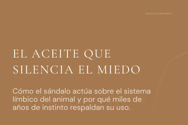 El aceite que silencia el miedo
