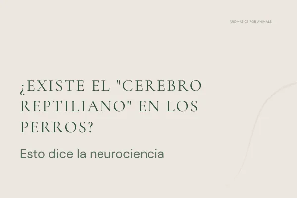 ¿Existe el "cerebro reptiliano" en los animales