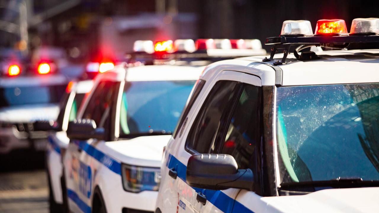 what is police brutality