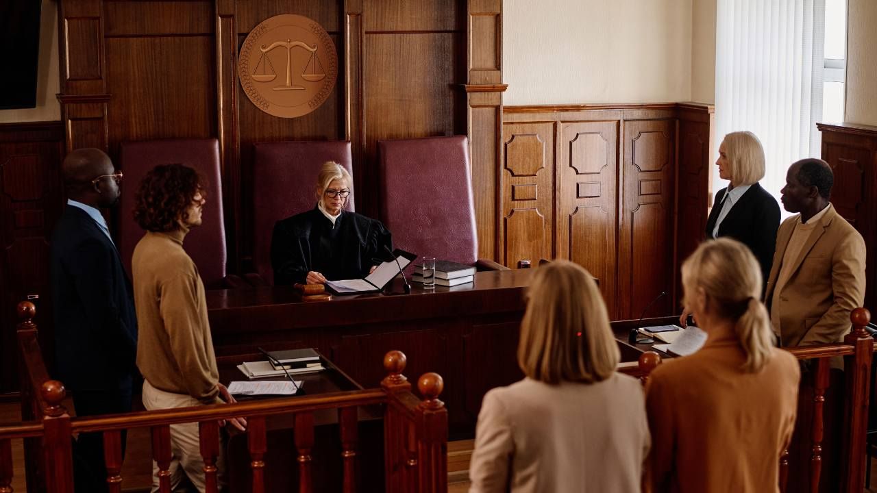 expert witnesses in civil rights cases