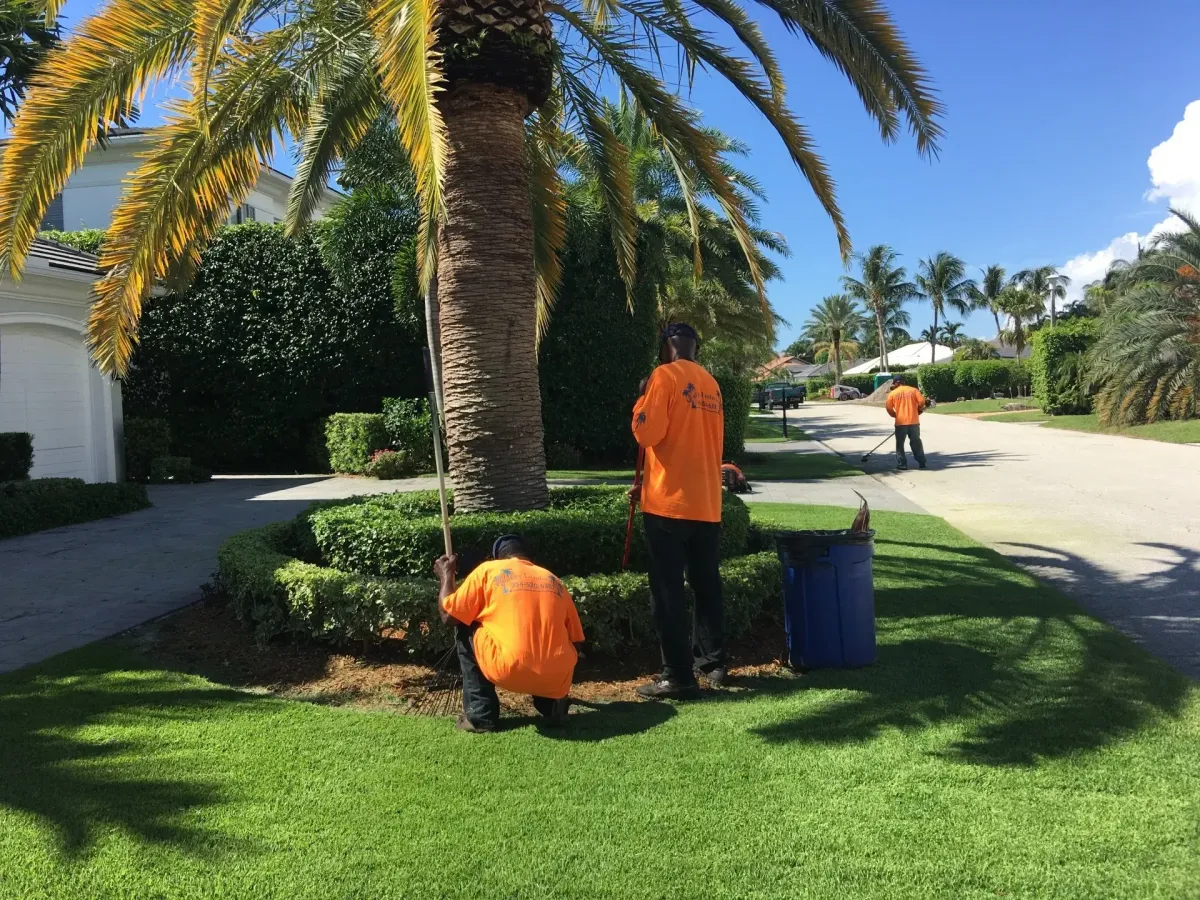 Lawn maintenance and hedge trimming service in Deerfield Beach – Quality Lawncare & Landscaping