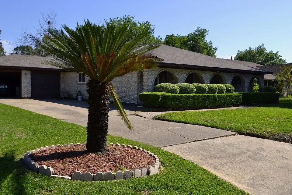 Cycas palm tree landscaping in Deerfield Beach – Quality Lawncare & Landscaping