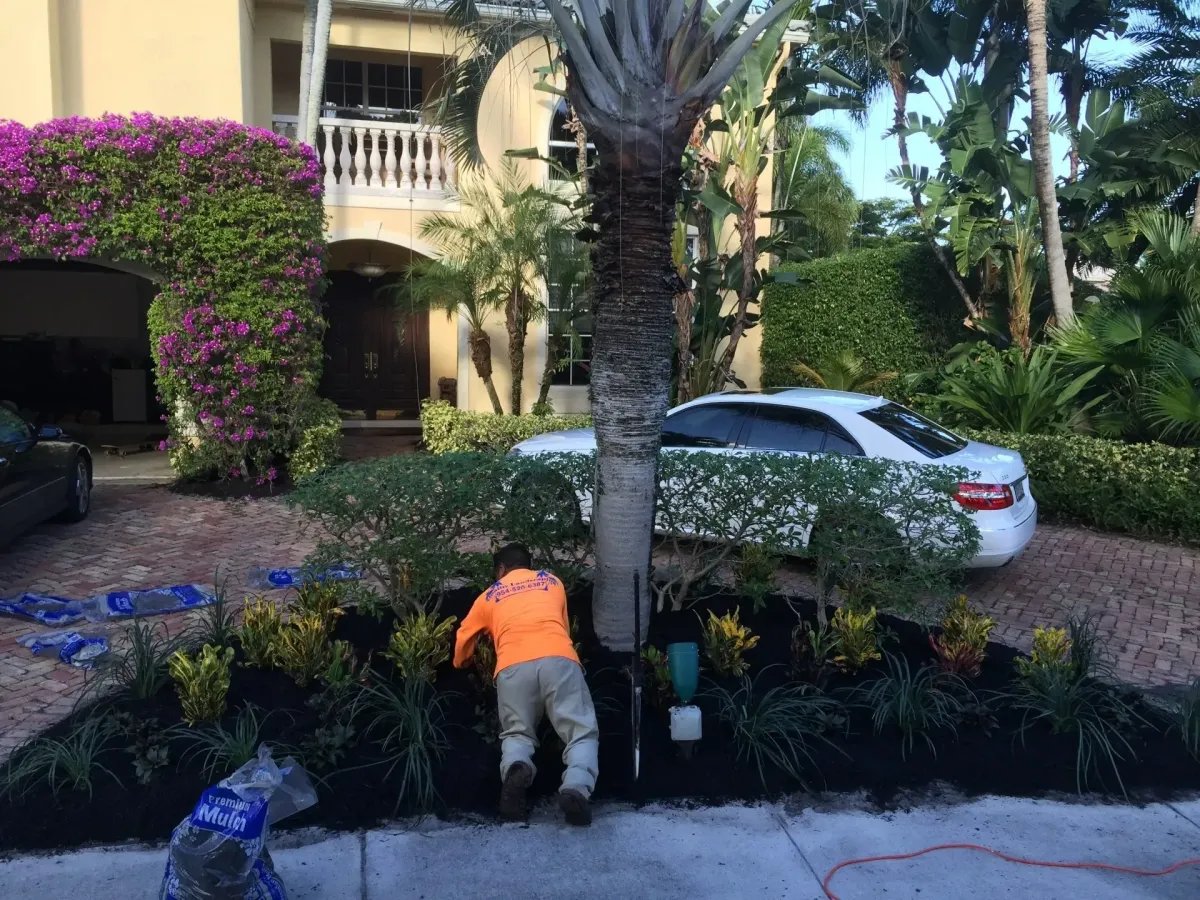 Tropical garden maintenance and landscaping in Deerfield Beach – Quality Lawncare