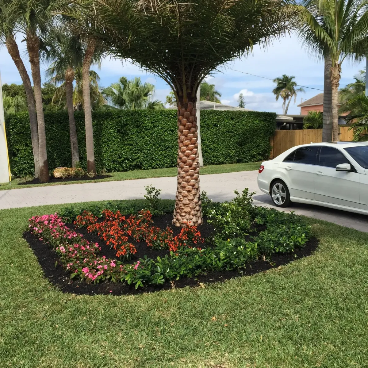 Palm tree and flower bed landscaping in Deerfield Beach – Quality Lawncare & Landscaping