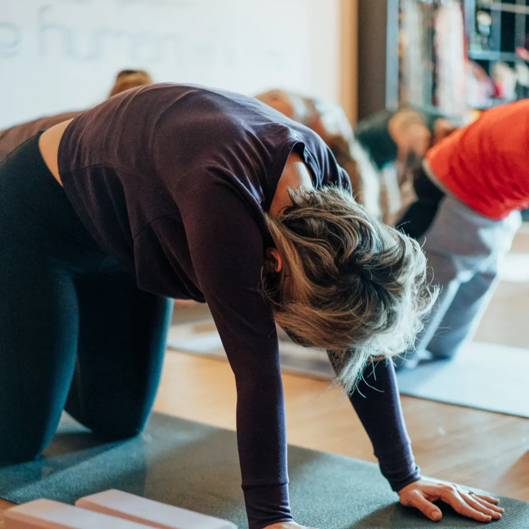 Student practising Cat-Cow pose to improve spinal mobility and reduce back stiffness