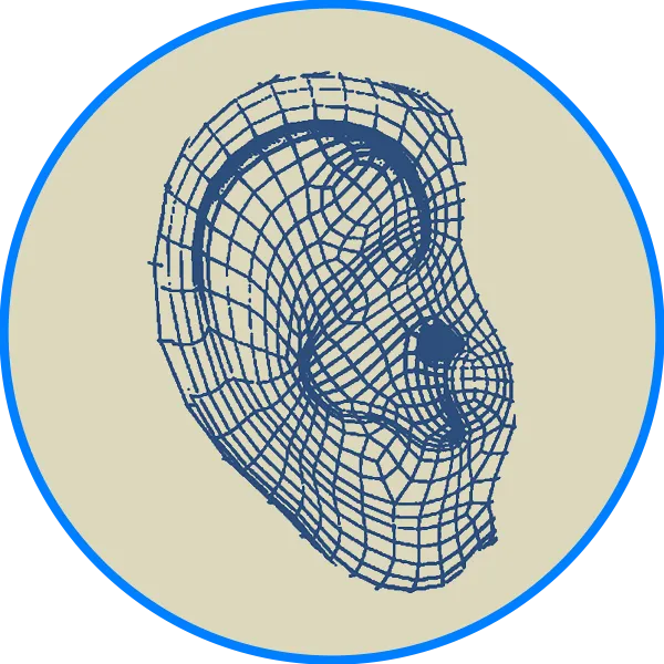 3D ear scan