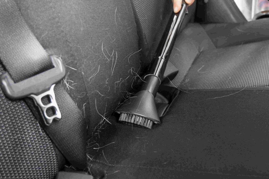 Chino Pet Hair Removal