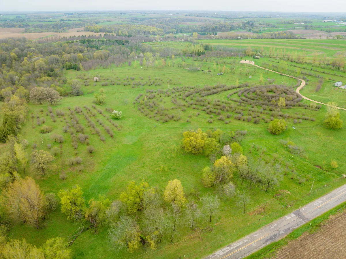 Aerial view of agroforestry demonstration site with tree rows and circular plantings in a green landscape, showcasing regenerative land management practices