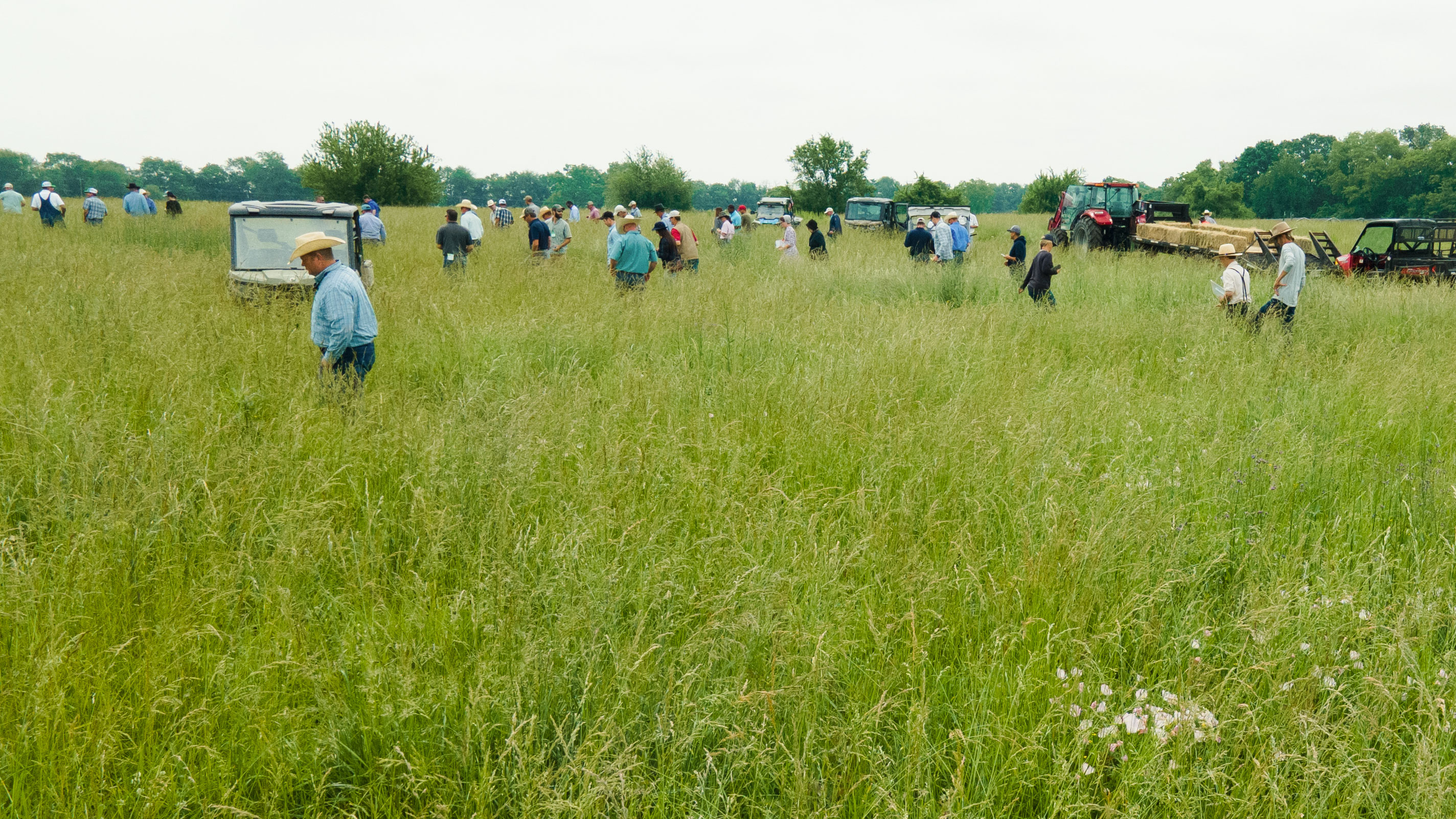 Farmers gathered in a field learning regenerative agronomy