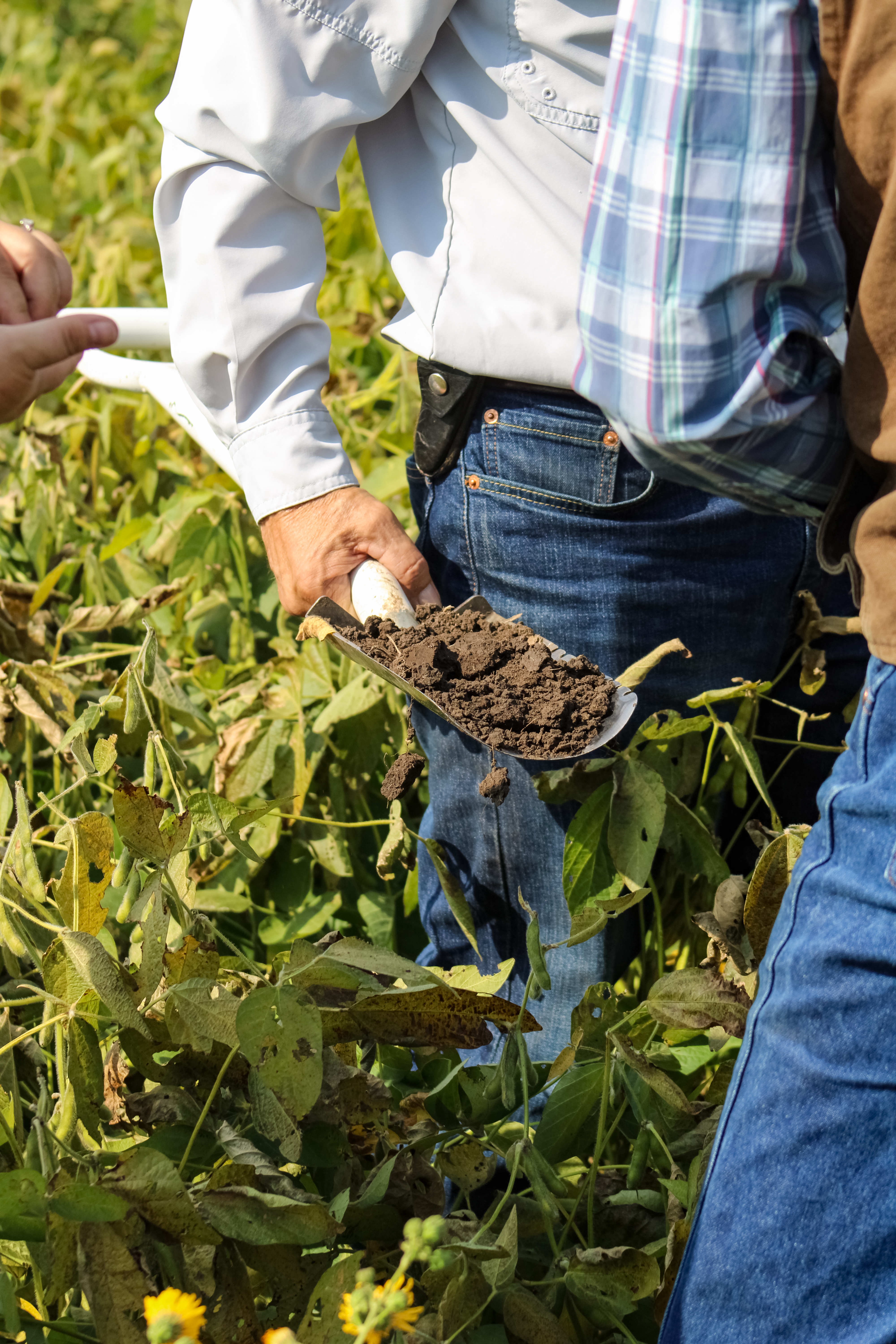Farmers gathered in a field learning regenerative agronomy