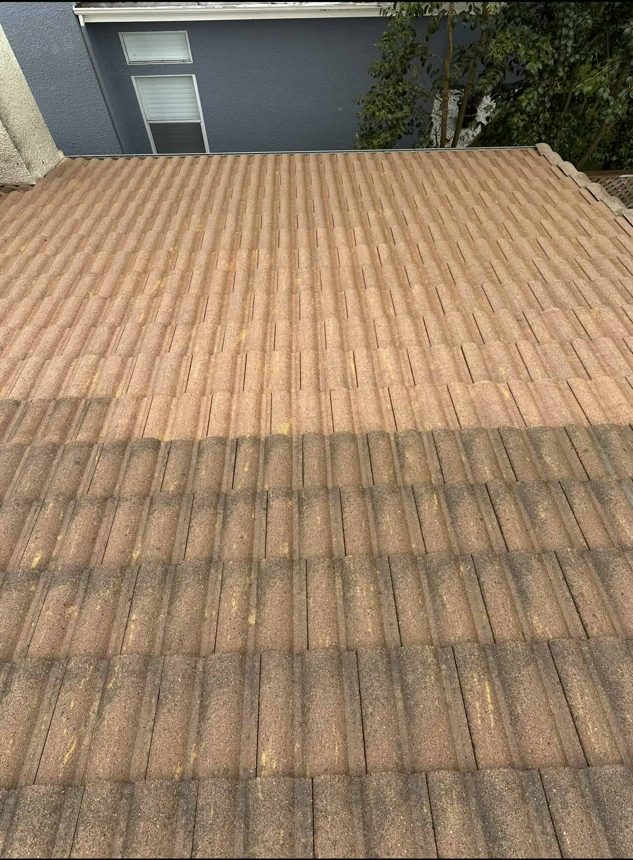 Mossy Roof Image Sonoma Valley Exterior Home Cleaning
