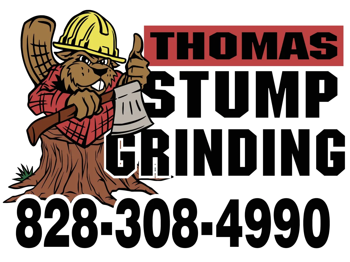 Stump Grinding Lenoir
