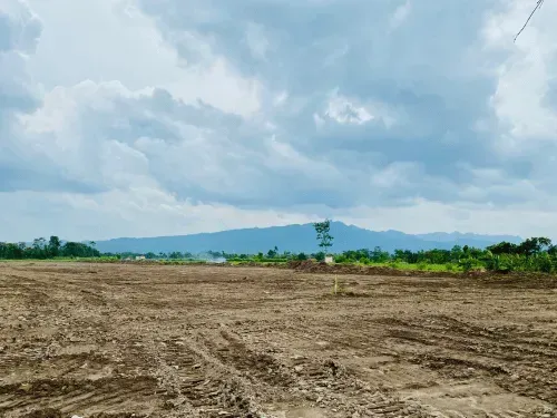 Land & Property Cleanup in Lenoir