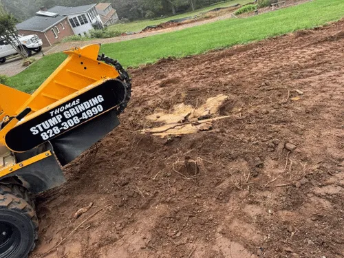 Hazardous Tree Removal Lenoir