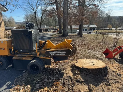 Land & Property Cleanup Lenoir