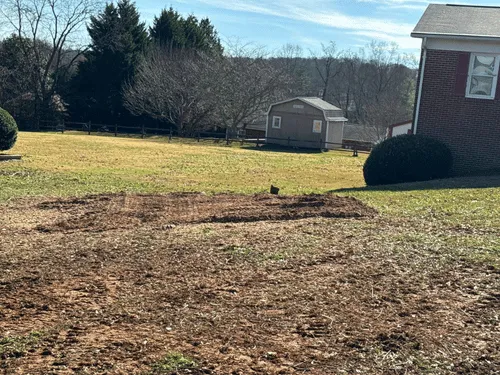 Tree Trimming & Pruning Lenoir