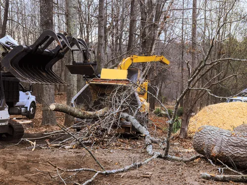  Stump Grinding