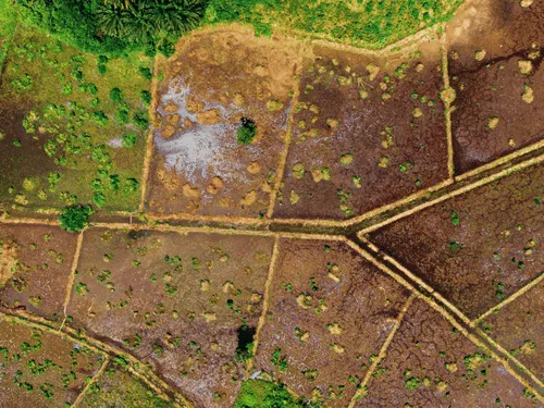 Hickory Land & Property Cleanup