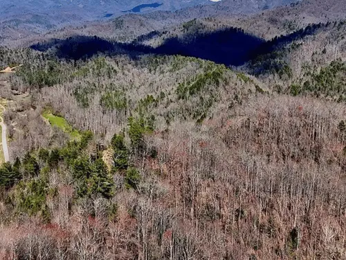 Lenoir Stump Grinding