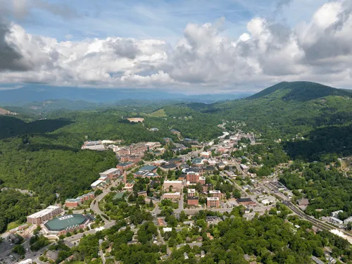 Boone Tree Trimming & Pruning