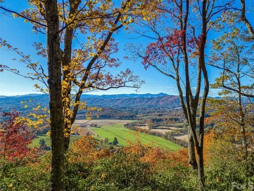 Bethlehem Stump Grinding