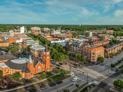 Newton Stump Grinding