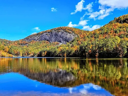 Lincolnton Tree Trimming & Pruning